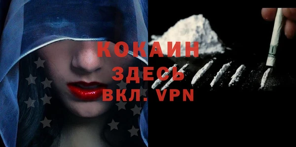 хмурый Алексин