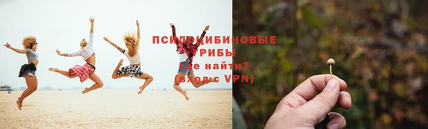 хмурый Алексин