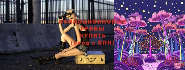 хмурый Алексин
