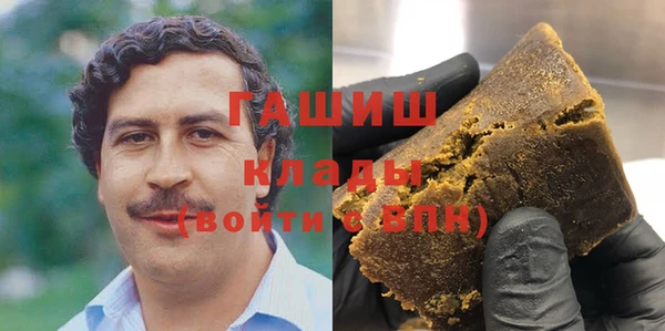 хмурый Алексин
