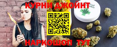 индика Лесосибирск