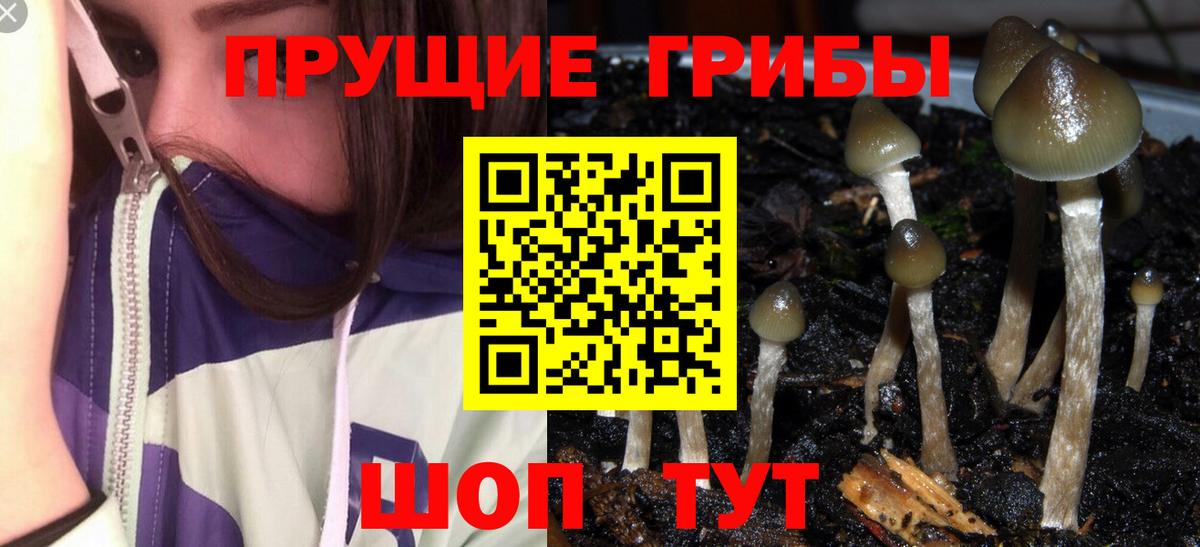 Галлюциногенные грибы мицелий  Вход с VPN  где найти наркотики  Коломна 