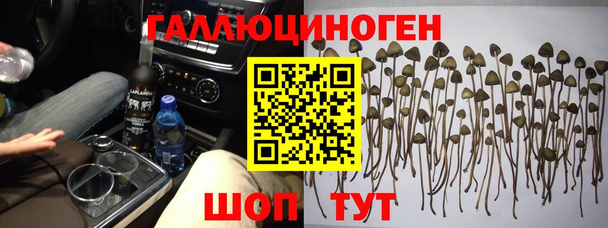 Псилоцибиновые грибы прущие грибы Коломна